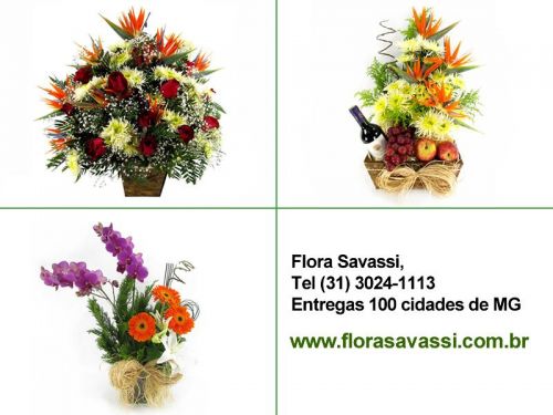 Maternidade Hilda Brandão floricultura flora entrega flores  cesta de flores orquídeas arranjos florais buquês e ramalhetes 650228