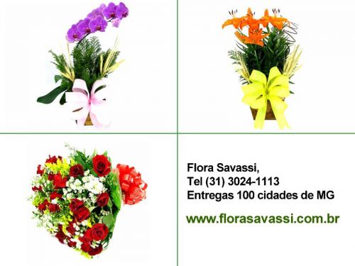 Maternidade Odete Valadares Bh floricultura flora Bh entrega flores cesta de flores orquídeas arranjos florais  buquês e ramalhetes 650227