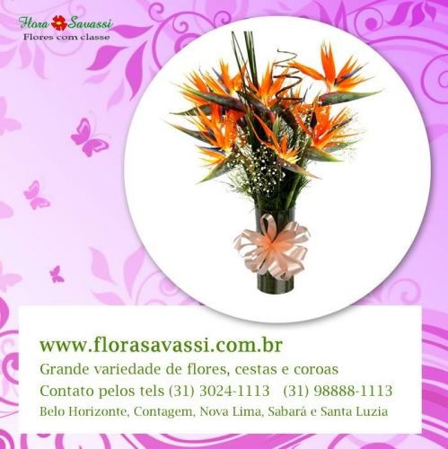 Maternidade Vila da Serra floricultura flora Bh entrega flores cesta de flores  orquídeas arranjos florais buquês 650222