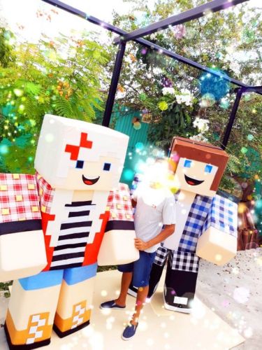 Minecraft cover personagens vivos festas infantil 584701