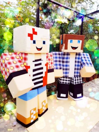 Minecraft cover personagens vivos festas infantil 584705