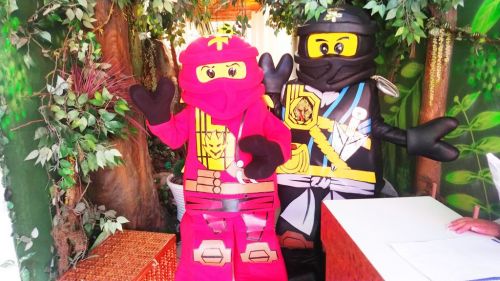 Ninja Go Cover Animacao Festas Personagens Vivos 595174
