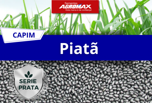 Oferta Exclusiva: Semente de Capim Brs Piatã Peletizado 10kg – Valor Nutritivo Superior Agromax 760913