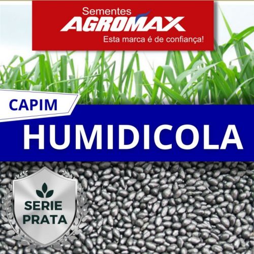 Oferta Exclusiva: Semente de Capim Humidícola Peletizado 10kg – Resistência Total Agromax 760883