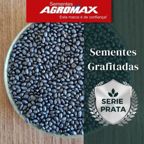 Oferta Exclusiva: Semente de Capim Massai Peletizado 10kg – Rusticidade e Versatilidade Agromax 760843
