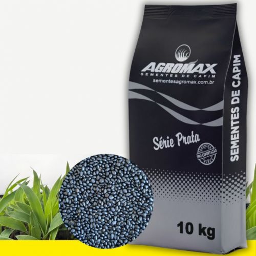 Oferta Exclusiva: Semente de Capim Mombaça Peletizado 10kg – Alta Produtividade Agromax 760817