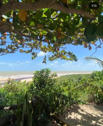 Oportunidade Única a 150m da Praia do Gesuel Terreno 30x60 com Poço de Tilápia 767170 Oportunidade Única a 150m da Praia do Gesuel Terreno 30x60 com Poço de Tilápia 767170