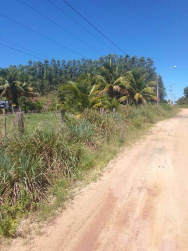 Oportunidade Única a 150m da Praia do Gesuel Terreno 30x60 com Poço de Tilápia 767171 Oportunidade Única a 150m da Praia do Gesuel Terreno 30x60 com Poço de Tilápia 767171