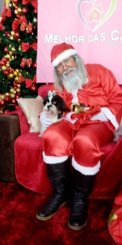 visita do papai noel ação do natal no supermercado e  lojas  papai noel na ceia do natal  761034