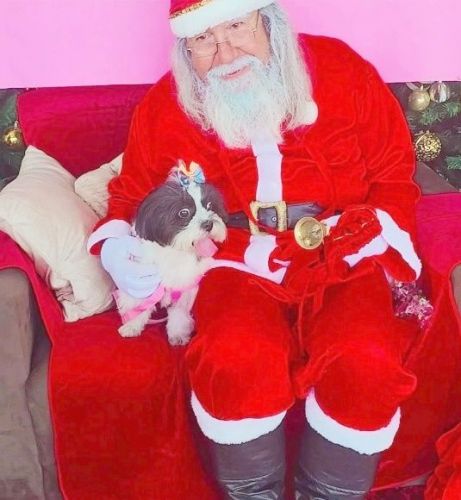 papai Noel para síndicos de condomínios festa do natal 2026 788078