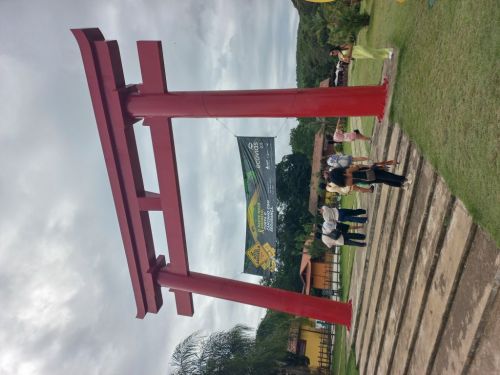 Passeio Turístico por Grande Buda e Mosteiro Zen da Vargem  748901