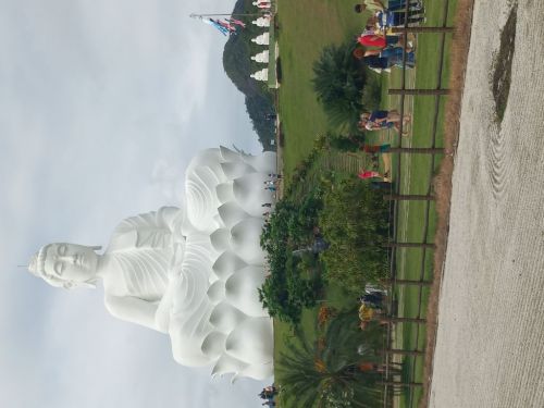 Passeio Turístico por Grande Buda e Mosteiro Zen da Vargem  748902