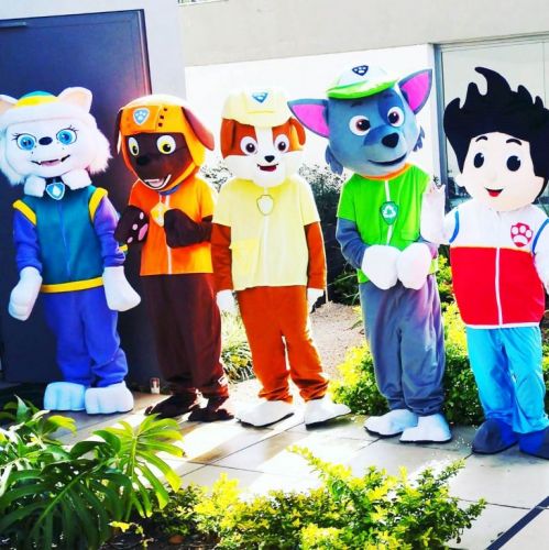 Turma Patrulha Canina cover personagens vivos festas infantil 584728