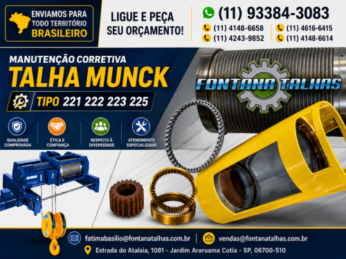 Peças para Talha Elétrica Munck 782222