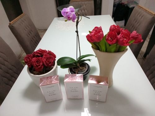 Perfume Lancôme La Vie Est Belle 100ml  Feminino - R$ 650 Promoção 764701