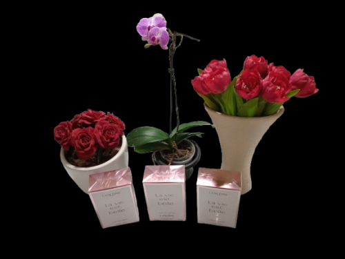 Perfume Lancôme La Vie Est Belle 100ml  Feminino - R$ 650 Promoção 764703