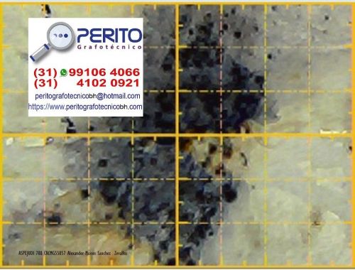 Perito Grafotécnico Profissional – Laudos Técnicos e Análise de Assinaturas 778139