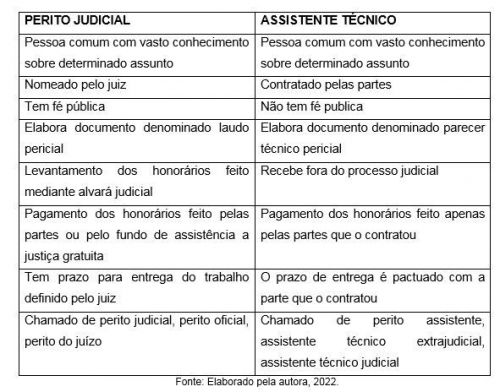 Perito Judicial Perito Investigador Digital e Assistente Técnico. 782974