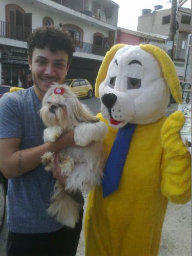 animação frente de loja com locutor e   mascote  do cachorro     485037