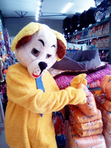 animação frente de loja com locutor e   mascote  do cachorro     719376