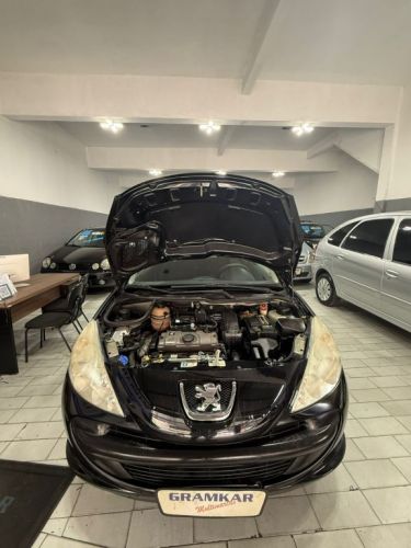 Peugeot 207 Xr 1.4 Flex 2009 2portas  759938