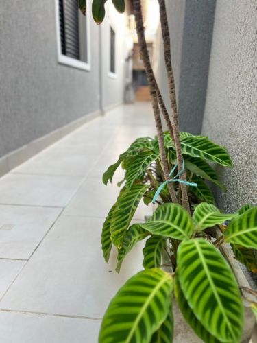 Pg011 Casa em Condominio - Praia Grande  758920