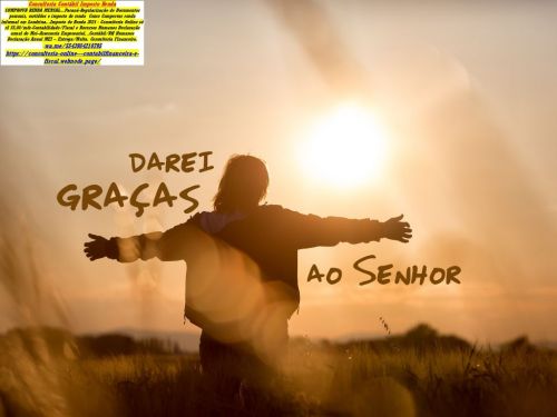 Programa Imposto De Renda  775606