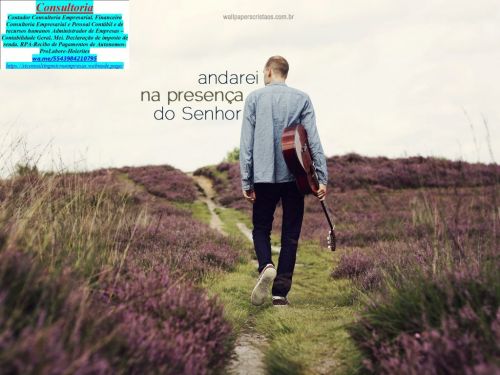 Propaganda Anuncios Marketing e Publicidade Digital Rolândia  773203