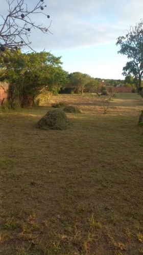 Realize seu Sonho 777636