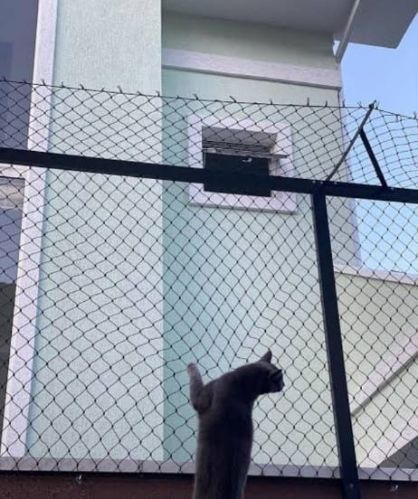 Redes De Proteção  745573