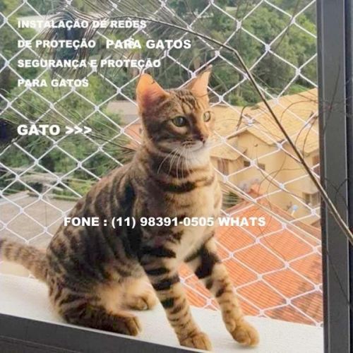  Redes de Proteção em Moema   Qualidade e segurança maxima 11 98391-0505 zap 540834