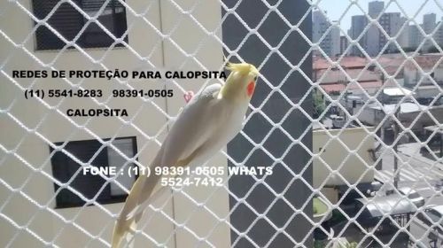 Redes de Proteção na Av. Aprigio Bezerra da Silva Taboão da Serra Qualidade e Segurança  586421