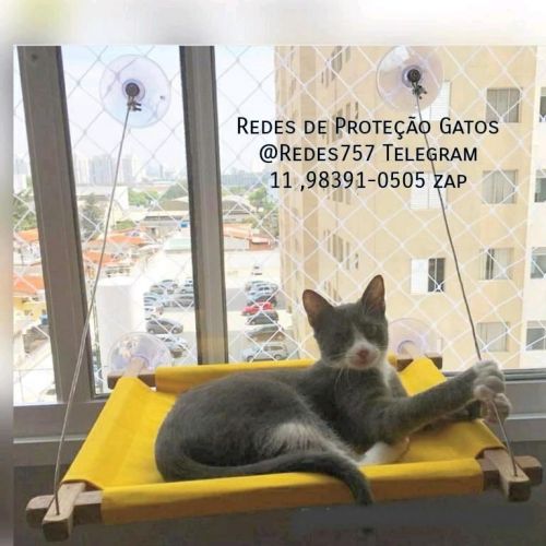 Redes de Proteção na Santa Cecilia  Rua Dr Veiga Filho  644422