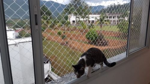 Redes de Proteção na Vila Prudente 781167