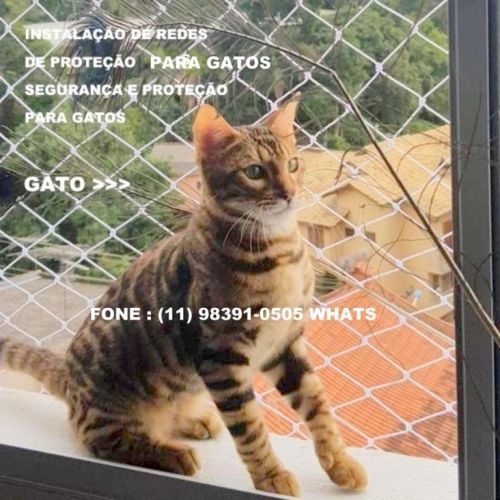 Redes de Proteção no Taboão da Serra 98391-0505 Av. Paulo Aires janelas  527486