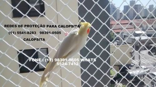 Redes de Proteção no Taboão da Serra 98391-0505 Av. Paulo Aires janelas  527489