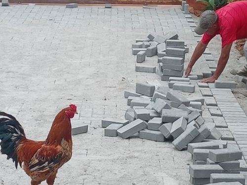 Reforma em geral em paralelepipedos e piso intertravado 773411