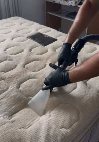 Renova Clean  Higienização Premium de Estofados 785048