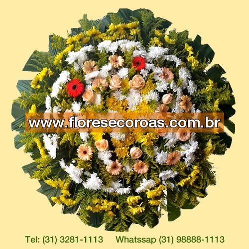 Ribeirão das Neves Mg floricultura entrega coroa de flores velórios cemitérios Igrejas e funerárias em Ribeirão das Neves Mg 733101
