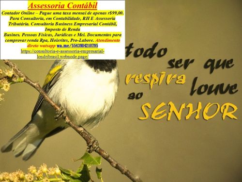 Serviço Contábeis e Imposto de renda 2025  740794