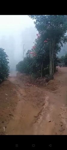sitio com 49 mil metros proximo  brejetuba  757515
