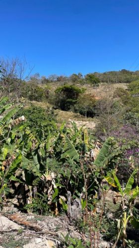 Sitio de 30 mil metros apenas.60 km de bh  773883