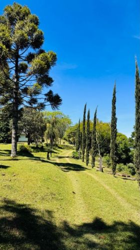Sítio Dos Sonhos Com Vista Panorâmica Extraordinária Em Morro Reuter-rs 764305