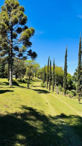 Sítio Dos Sonhos Com Vista Panorâmica Extraordinária Em Morro Reuter-rs 764309