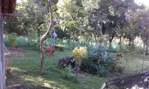 Sítio em condomínio fechado 780623