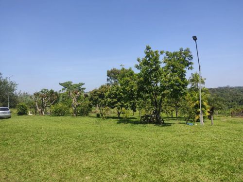 Sítio Na Cidade De Limeira-sp Com 20.000 Mts Com Casa 770231