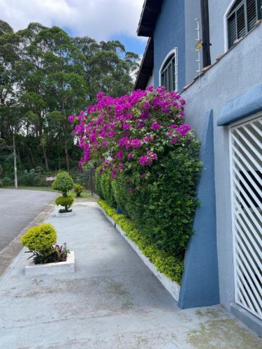 Sobrado Jd Las Vegas - Santo André - Sa129 786999
