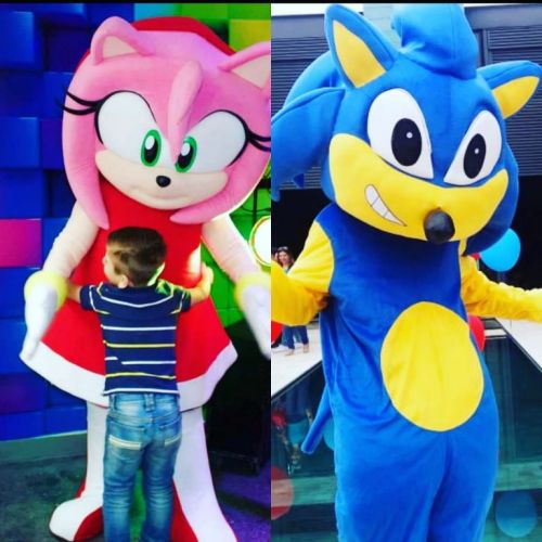 Sonic Cover Personagens Vivos Animação Festas Infantil 524319