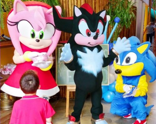 Sonic Cover Personagens Vivos Animação Festas Infantil 587644