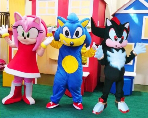 Sonic Cover Personagens Vivos Animação Festas Infantil 587645